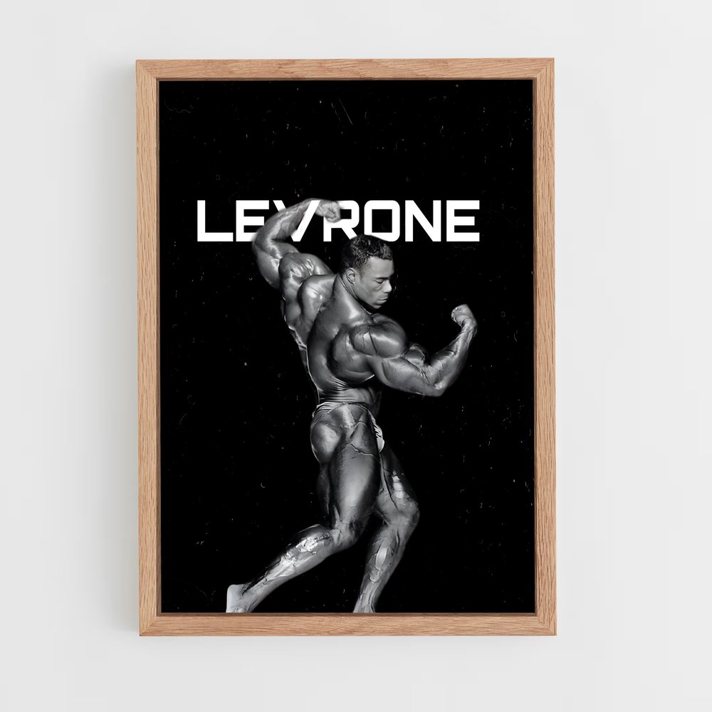 Poster Kevin levrone (vue 4)